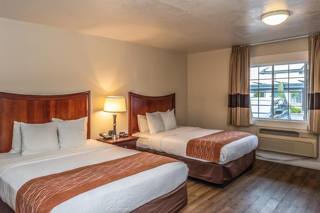 Queen Room with Two Queen Beds