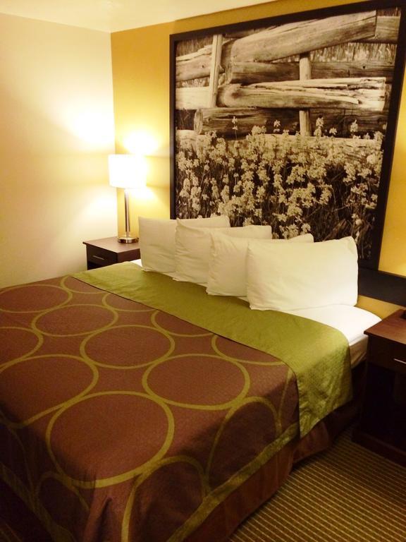 1 Queen Bed, Studio Suite, Non-Smoking