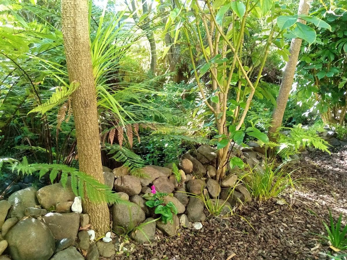 King Room with Garden View