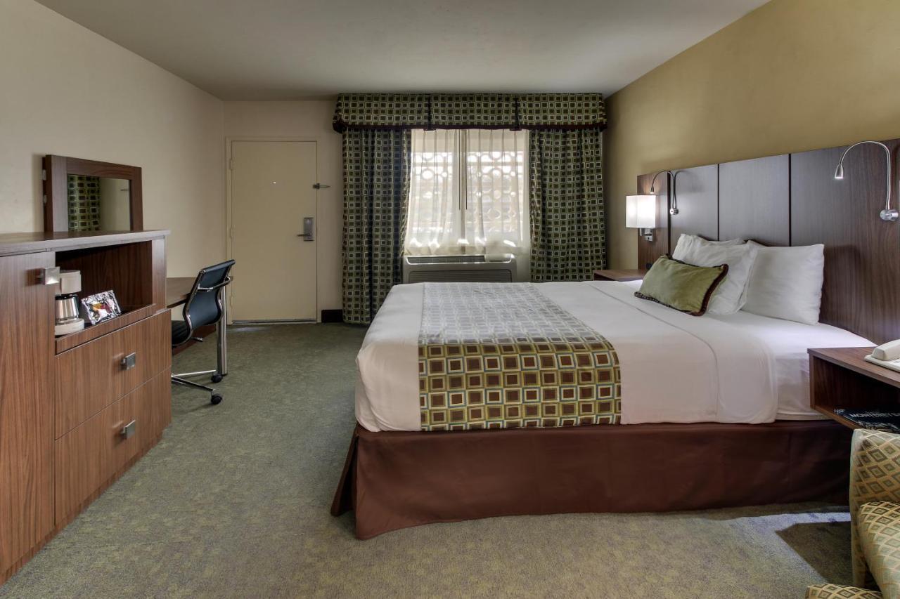 Junior Single Room, 1 Queen Bed, Non-Smoking, Refrigerator,1210965802:JPEG