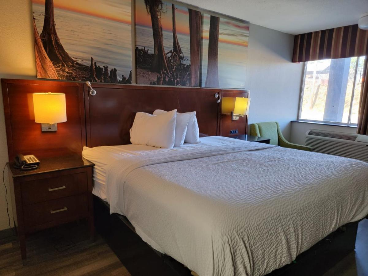 King Room with Mobility Accessible Bath Tub with Grab Bars - Non-Smoking