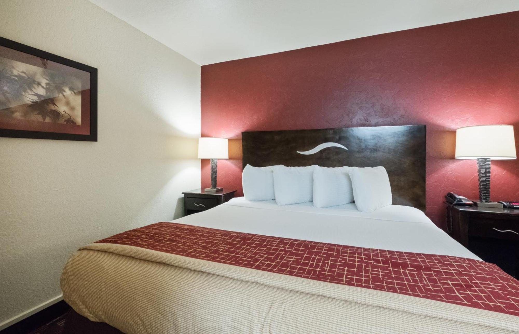 Suite King Room Non-Smoking