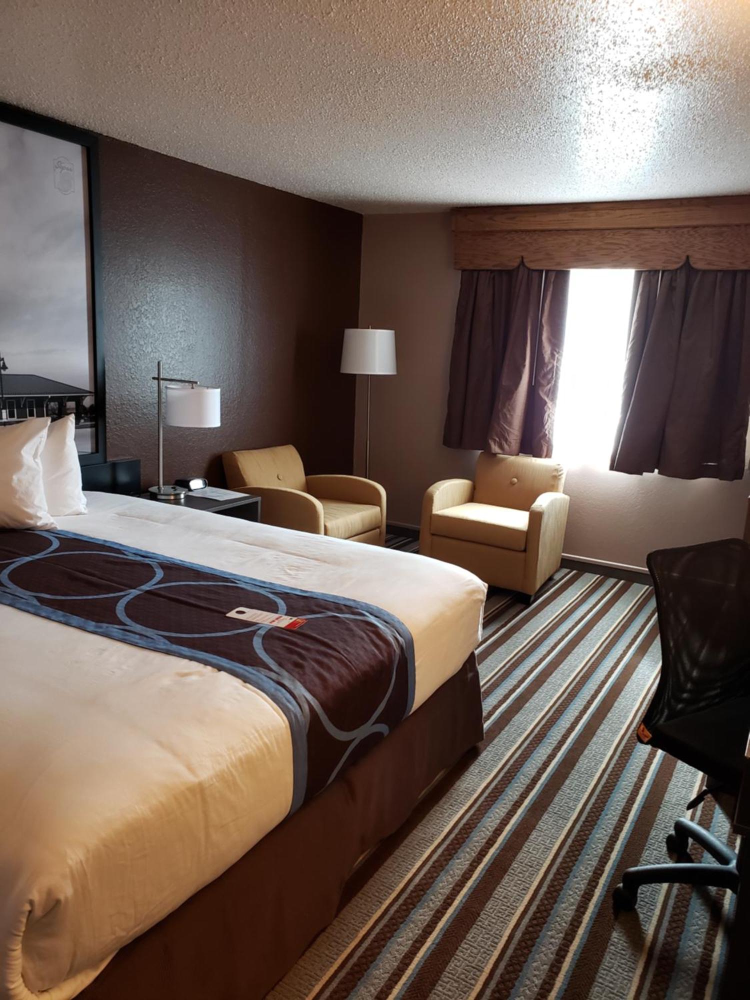 King Room - Non-Smoking