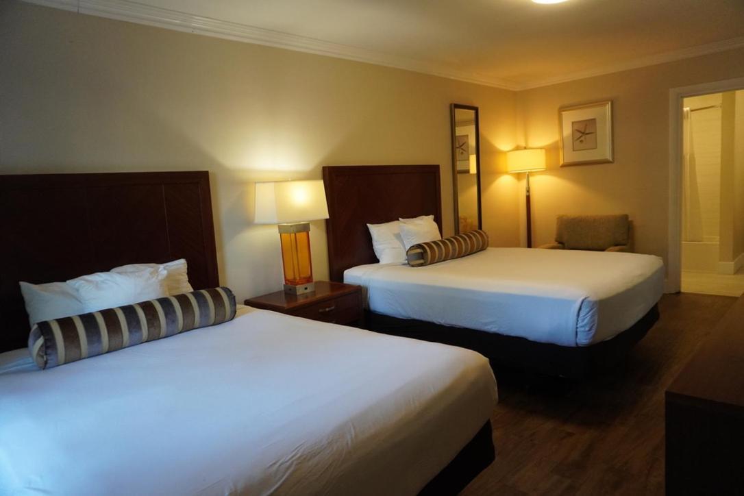 Queen Room with Two Queen Beds