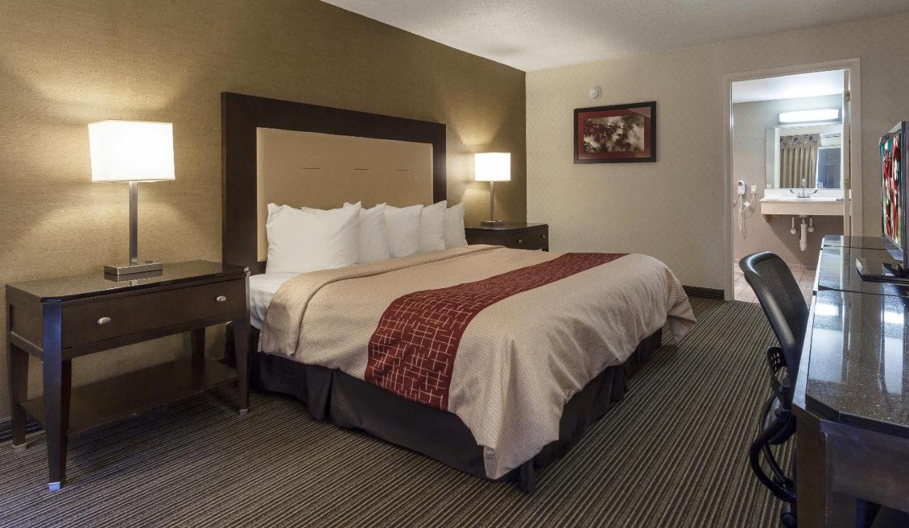 Suite King with Kitchenette Pool View Non-Smoking