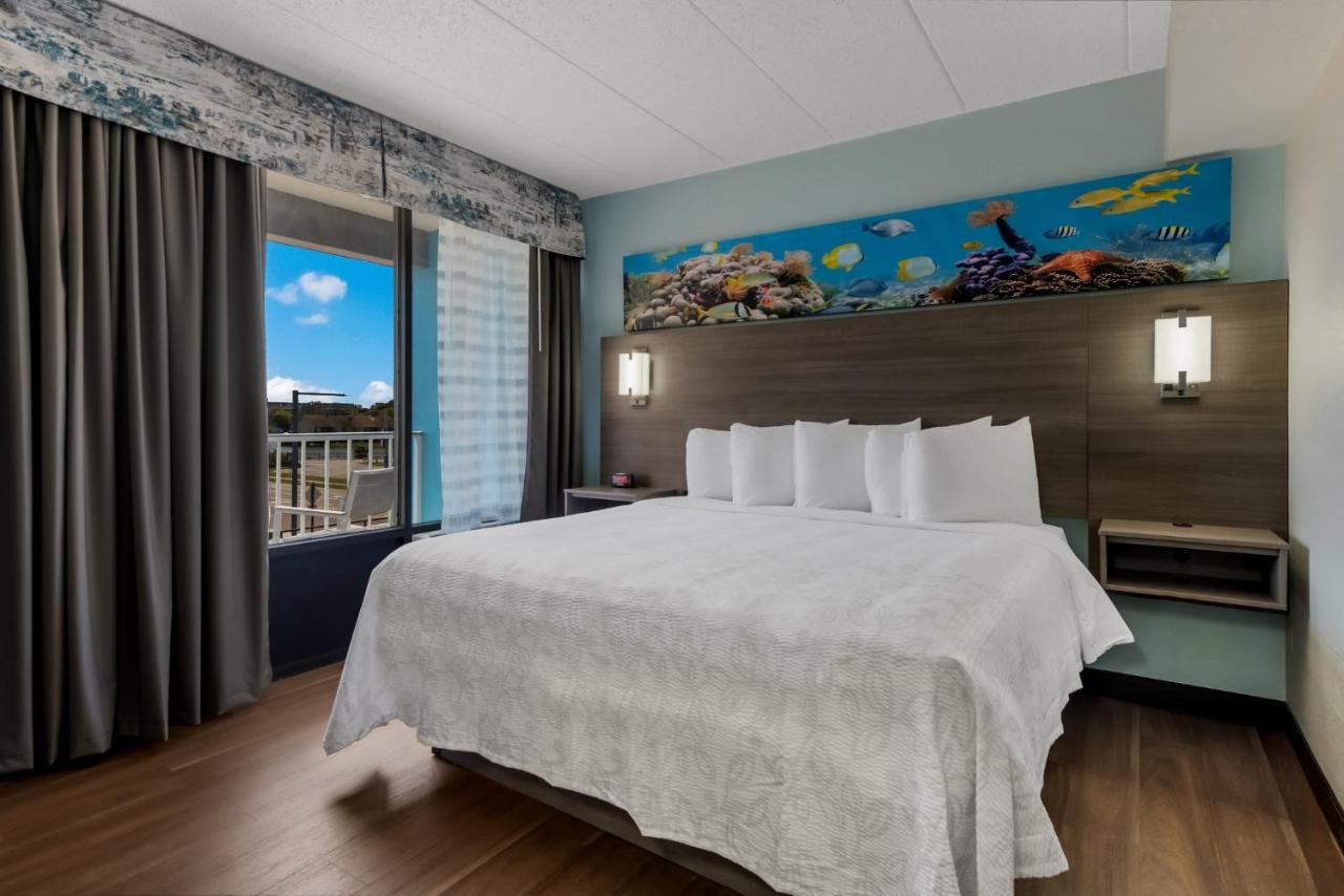 Premium King Room Disability Access with Partial Ocean View Smoke Free,1384464203:JPEG