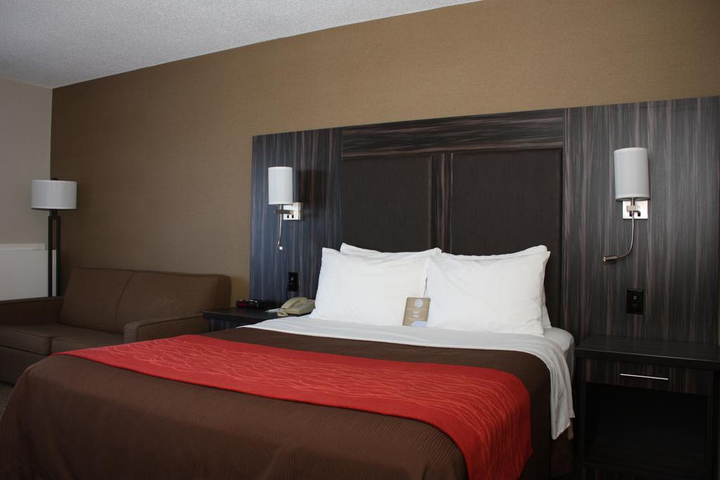 Queen Room Ground Floor Pet-Friendly