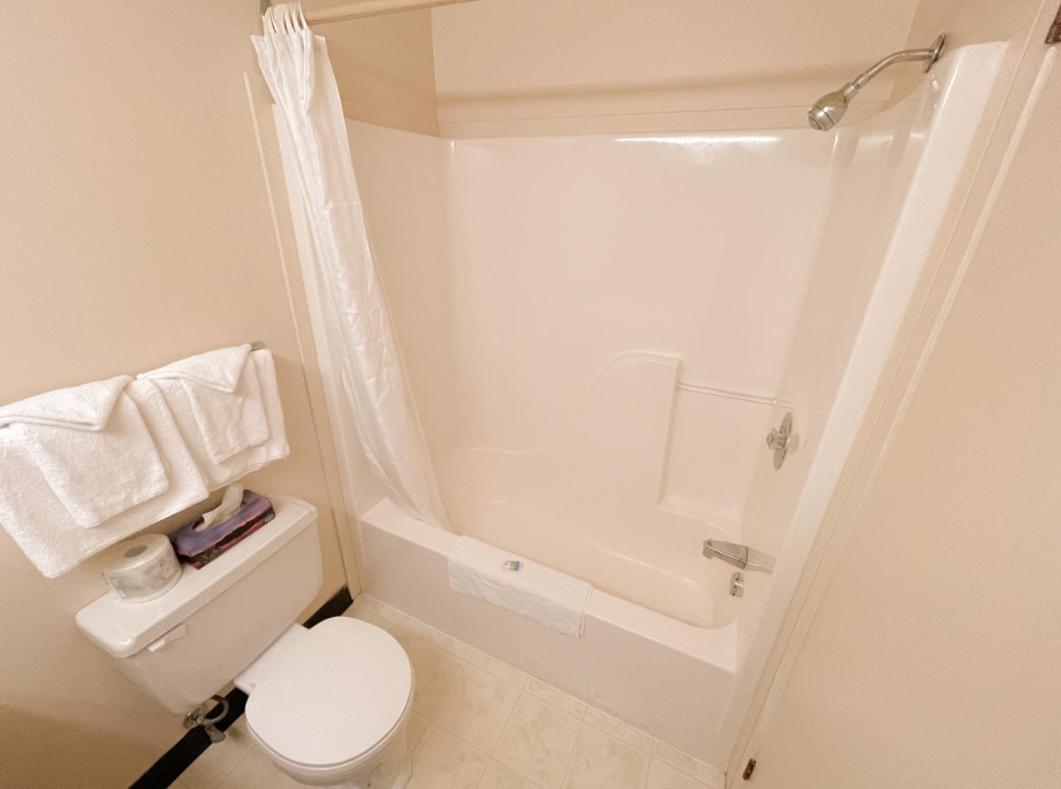 Queen Studio,1584549708:JPEG