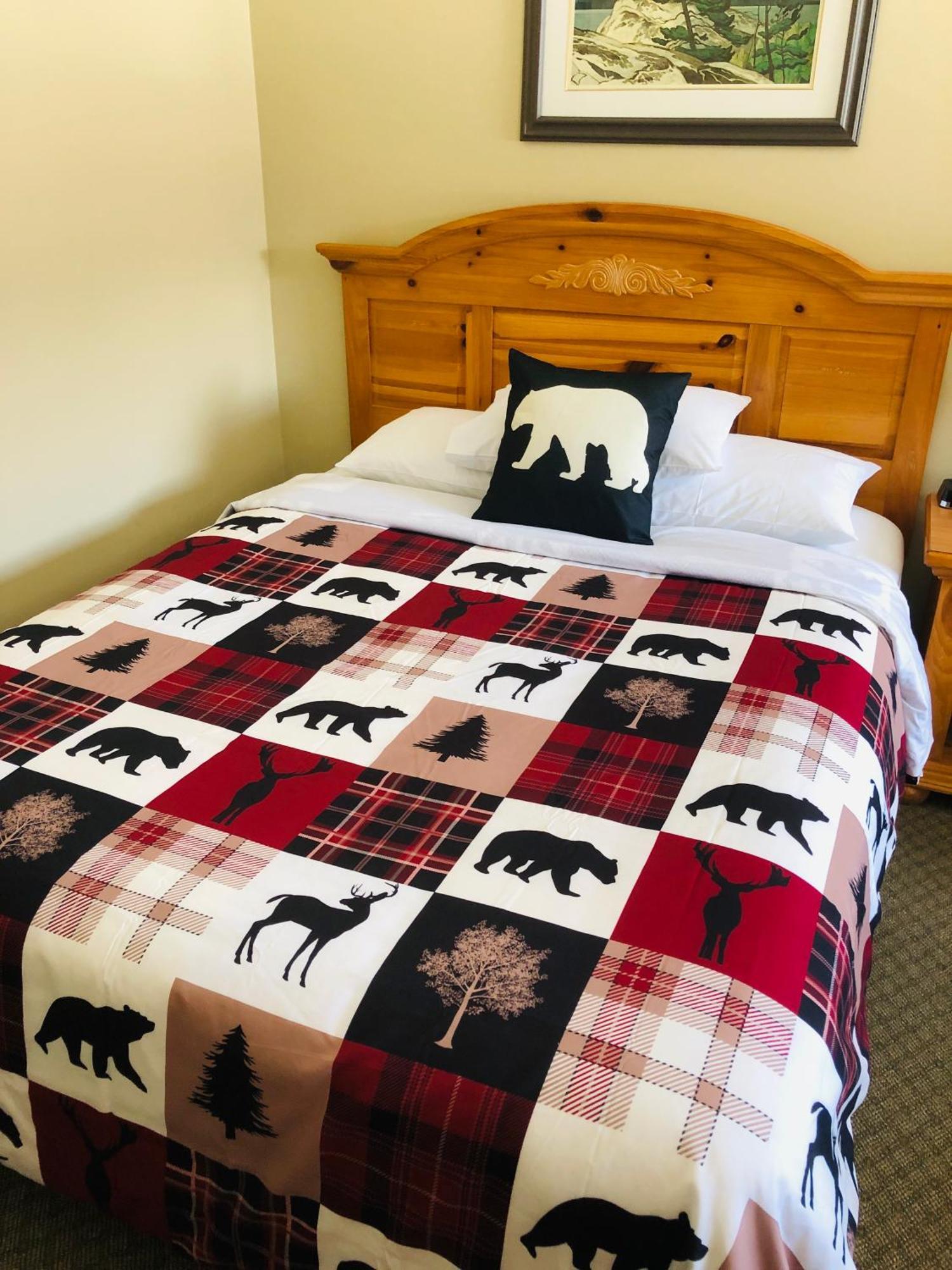 Room with One Queen Bed,1648941114:JPEG