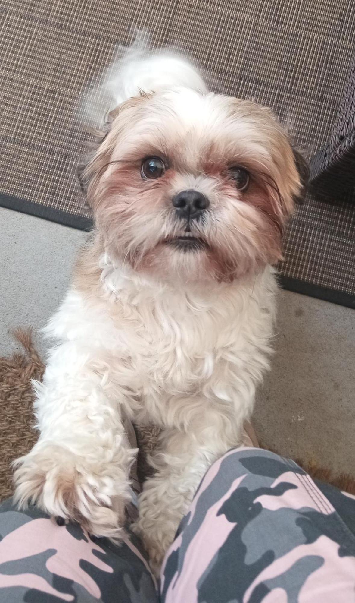 Superior Two-Bedroom Apartment,1605413456:JPEG