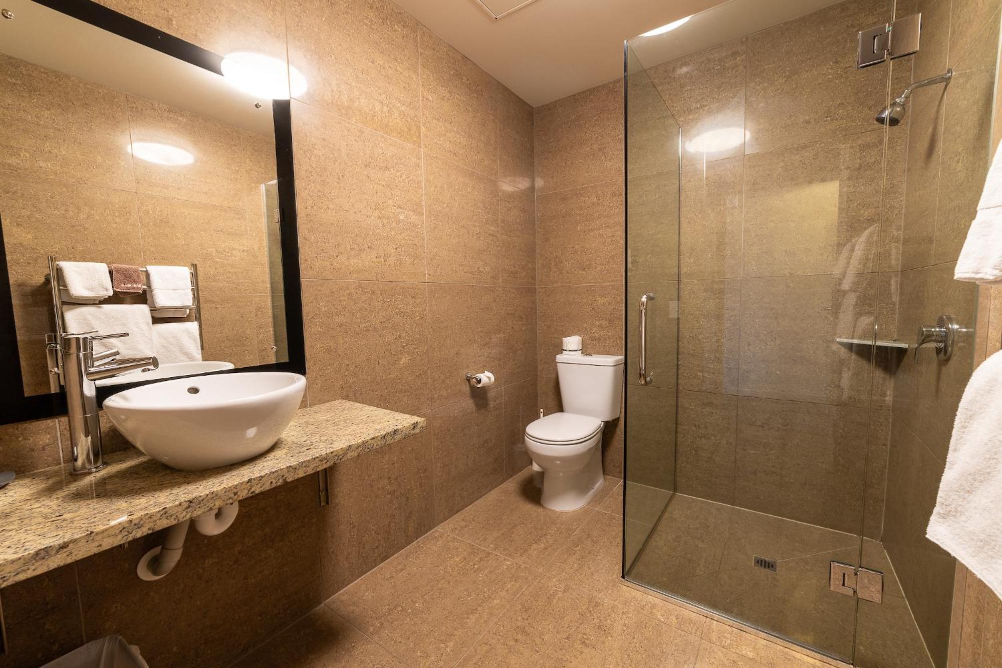 Deluxe One-Bedroom Apartment