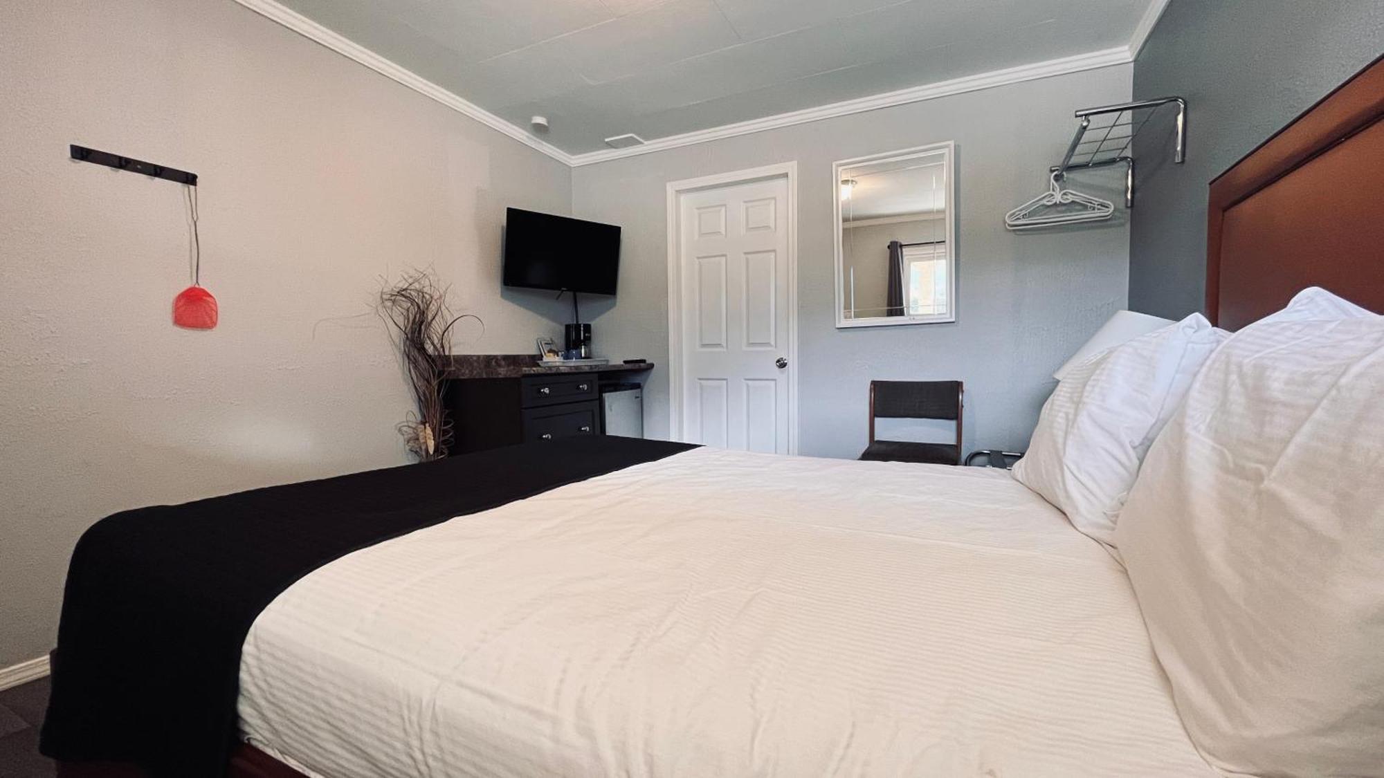 Queen Studio,1704796620:JPEG