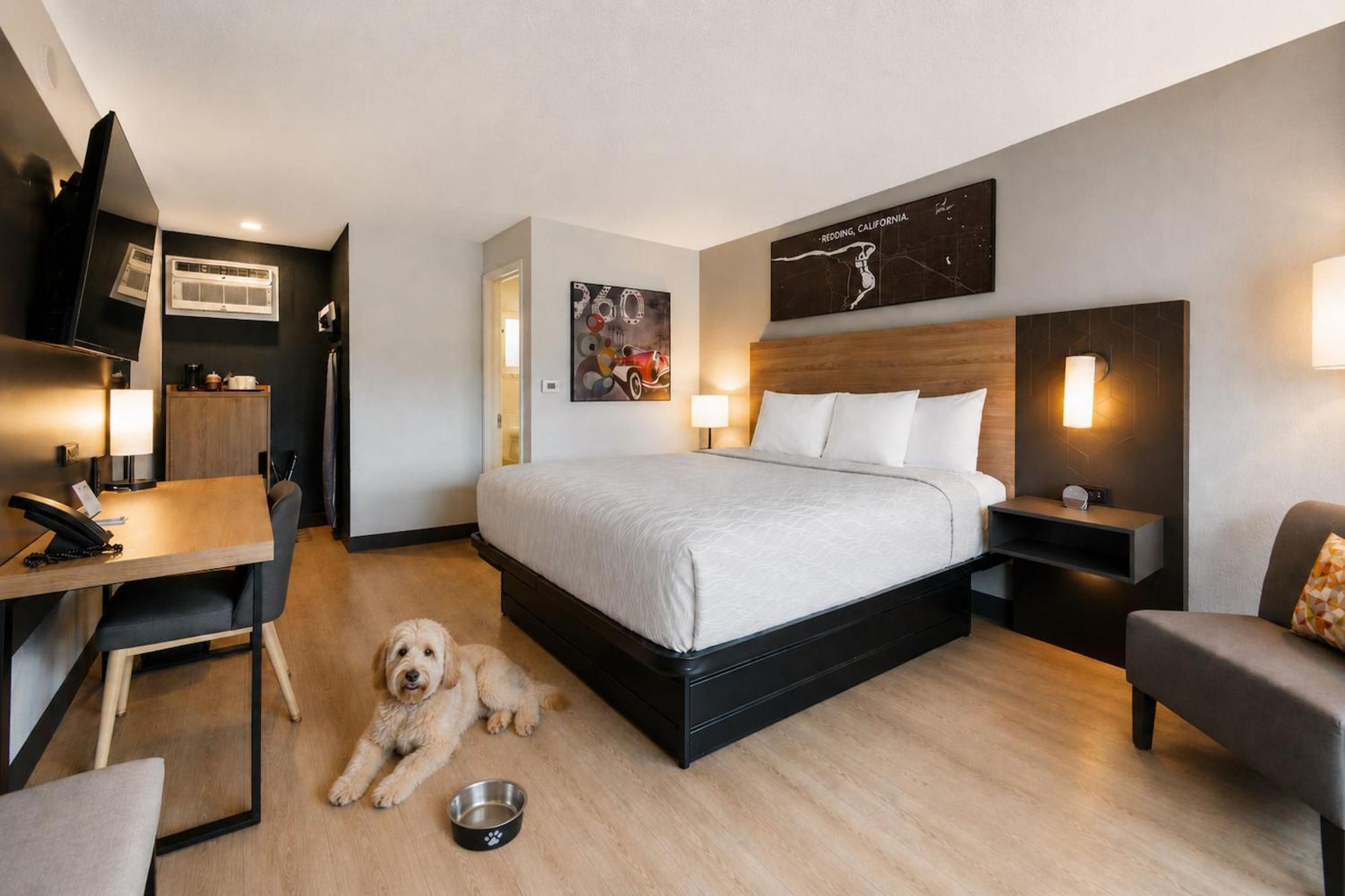 Standard King Room - Pet Friendly