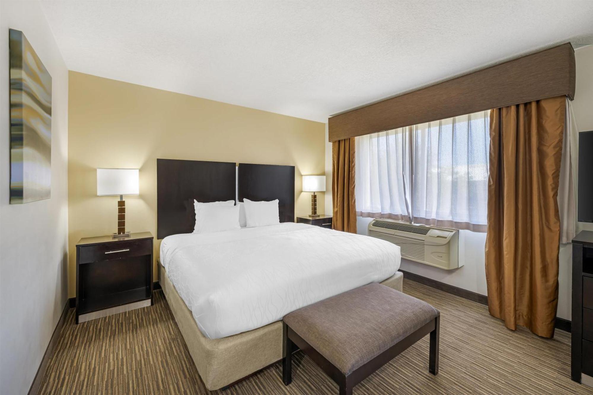 Mini Suite