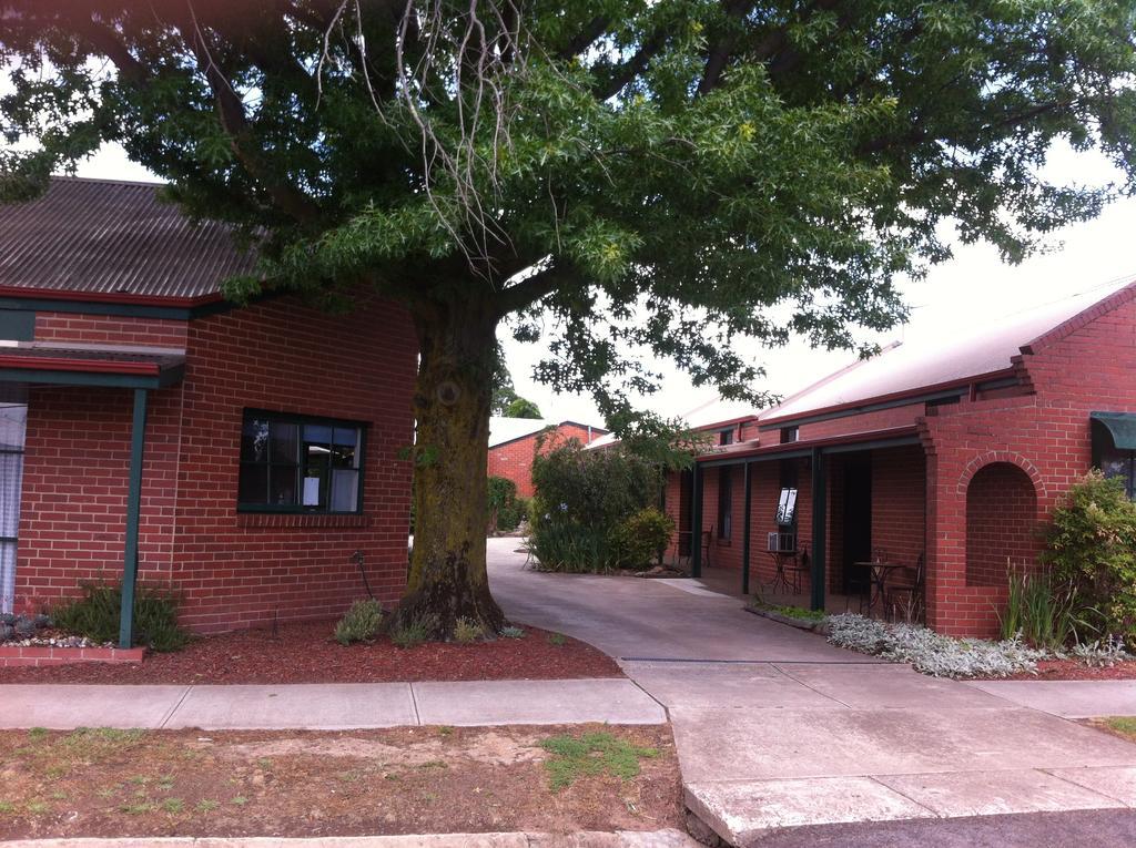 Bed in 8-Bed Dormitory Room,343037734:JPEG