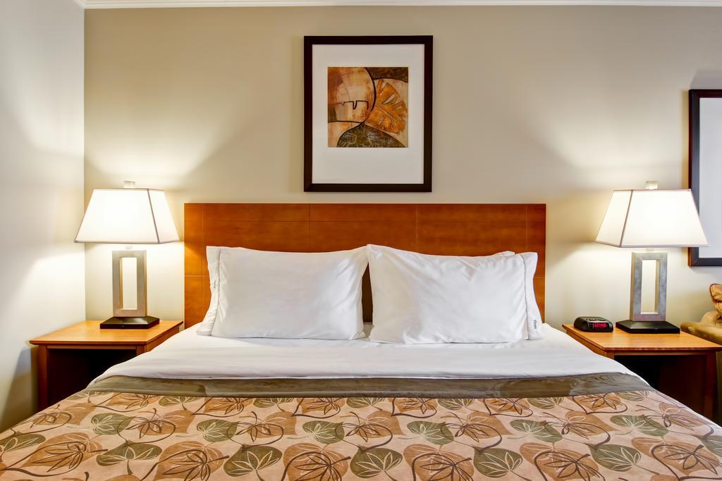 Queen Room with Sofa Bed,421242981:JPEG