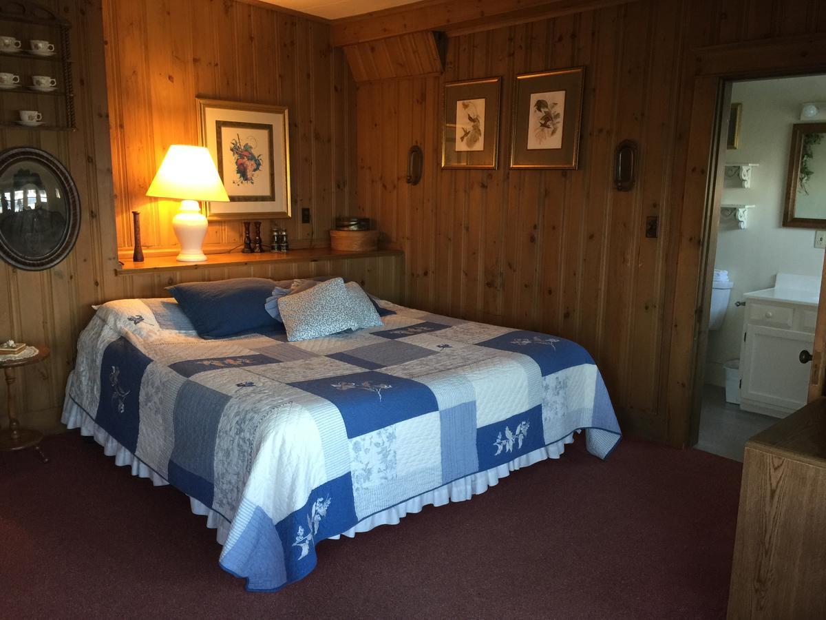 King Room with Sea View