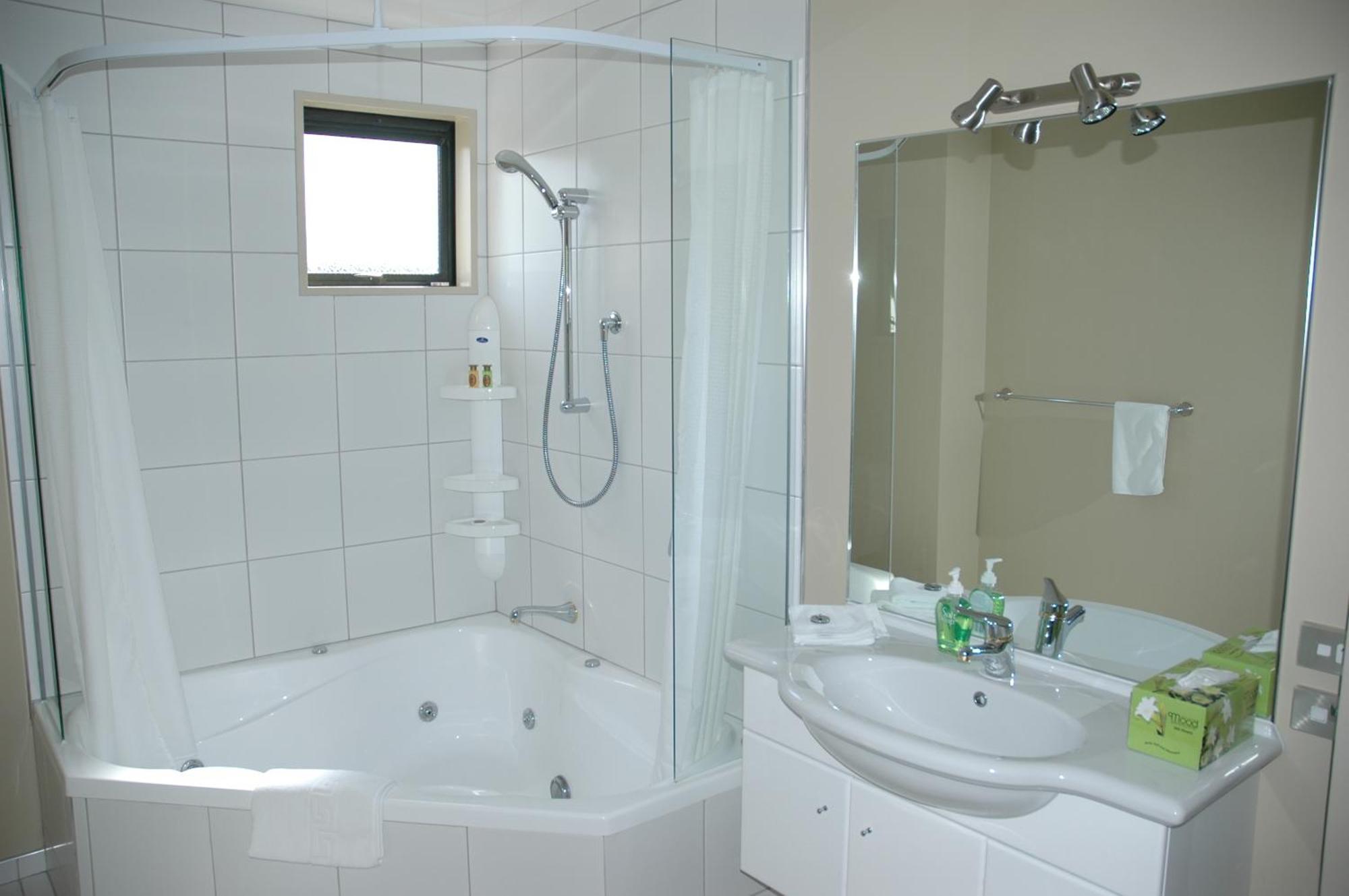 Deluxe One-Bedroom Apartment
