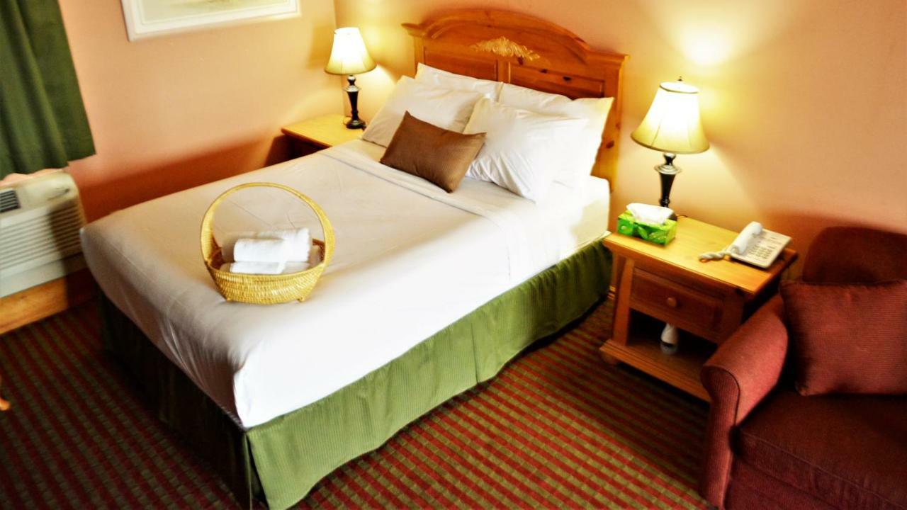 Queen Room - Non-Smoking,1396344950:JPEG