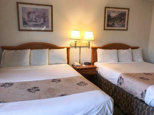 Queen Room with Two Queen Beds
