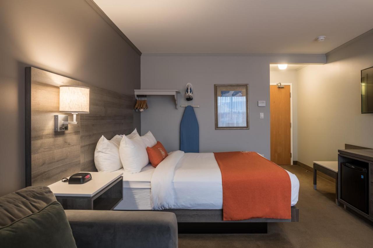 Queen Room with Sofa Bed,943217833:JPEG