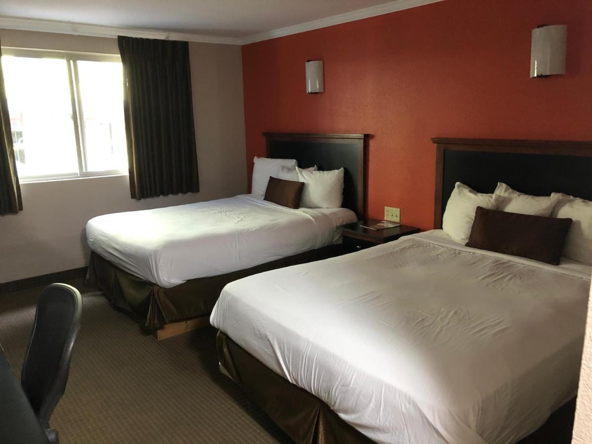 Standard Double Room Two Double Beds,967048885:JPEG