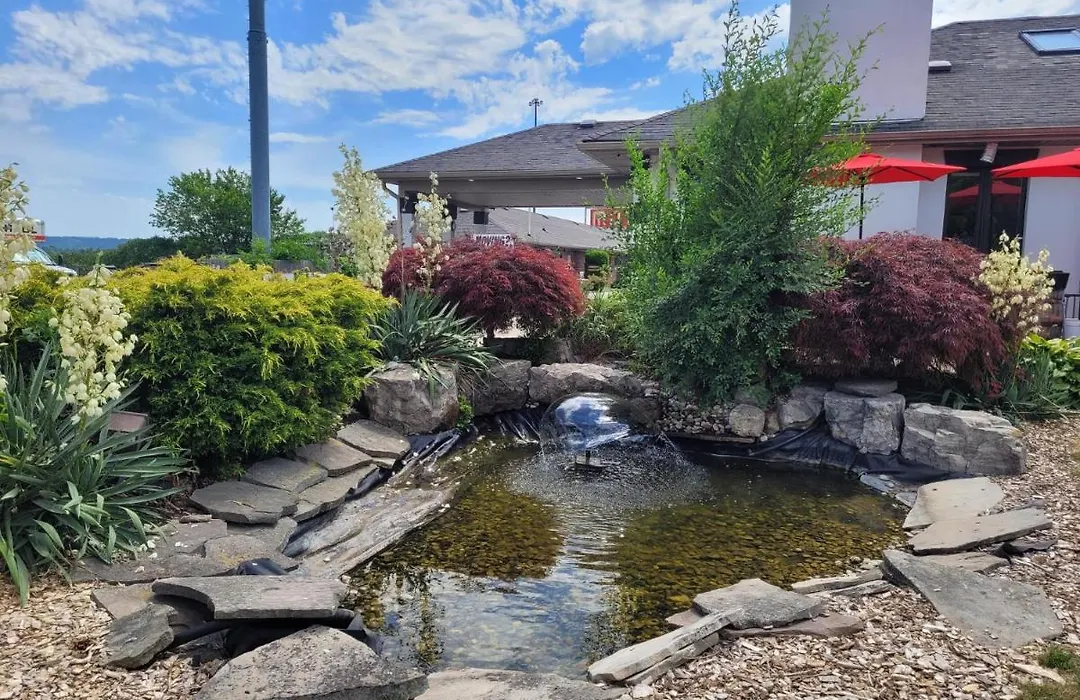 City View Inn-1
