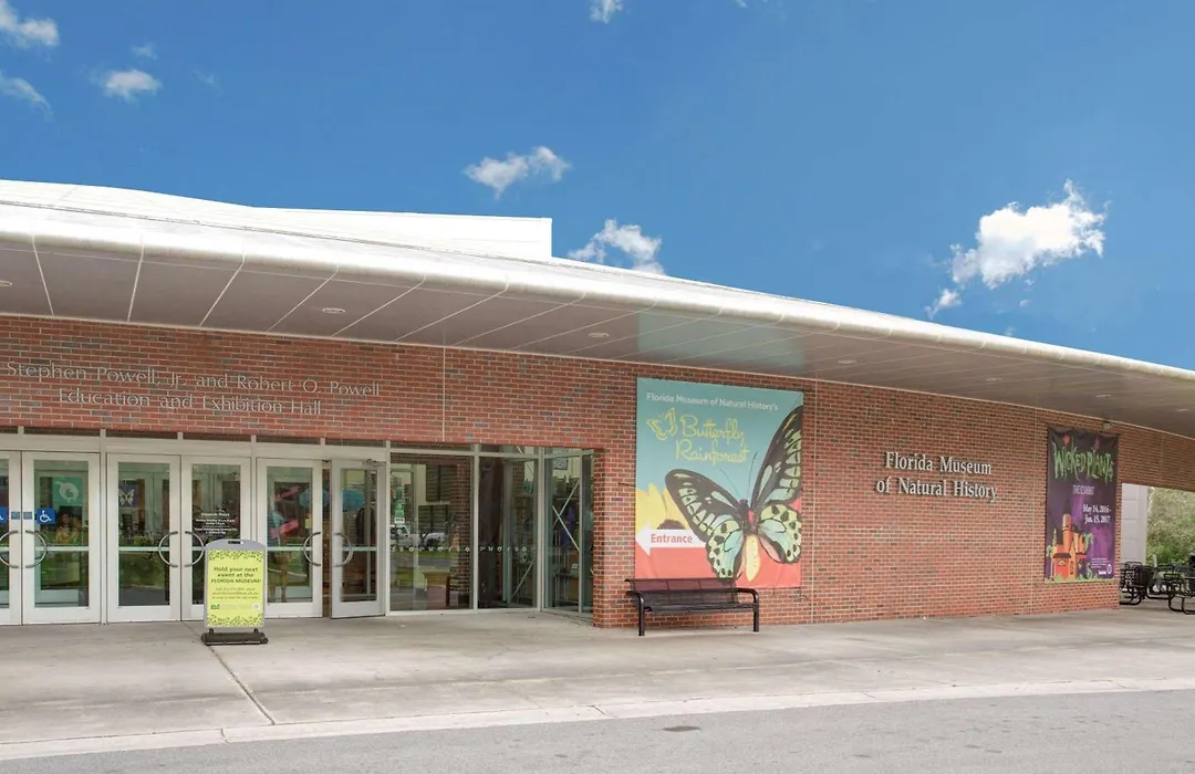 Super-8-Gainesville-I-75-Hospital-University-Area-1