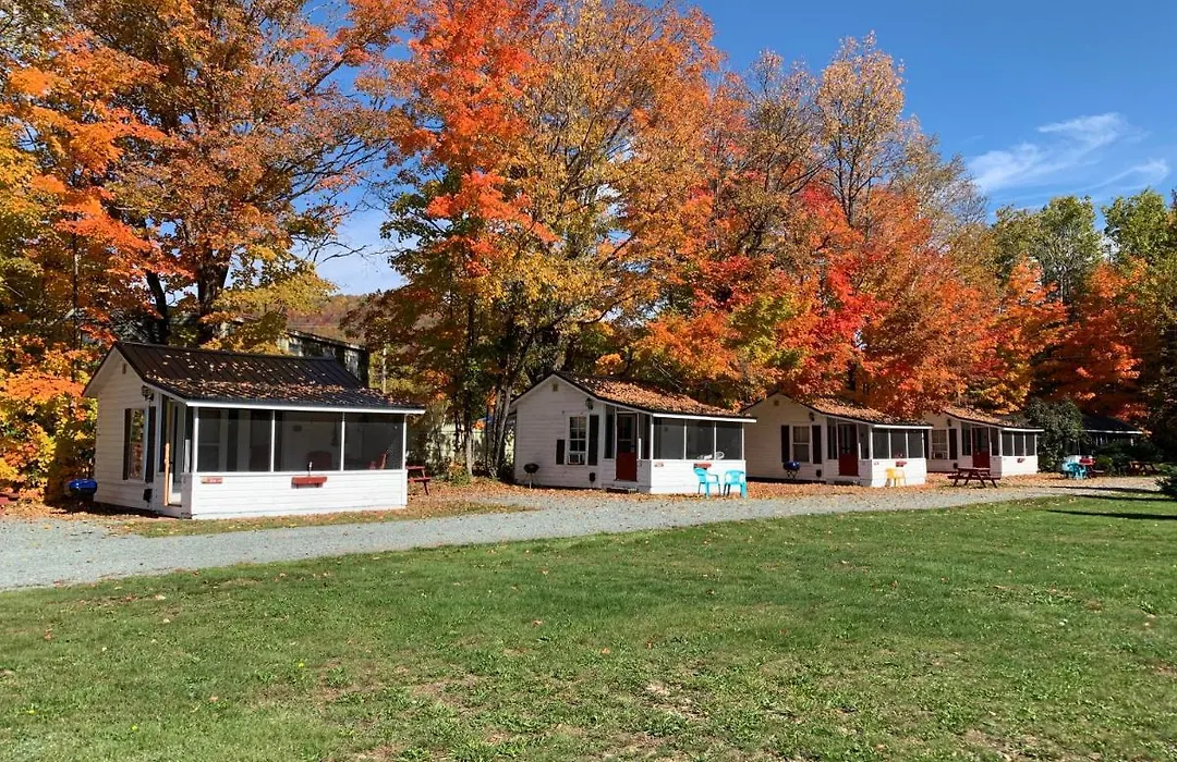 Carrollmotel And Cottages-1