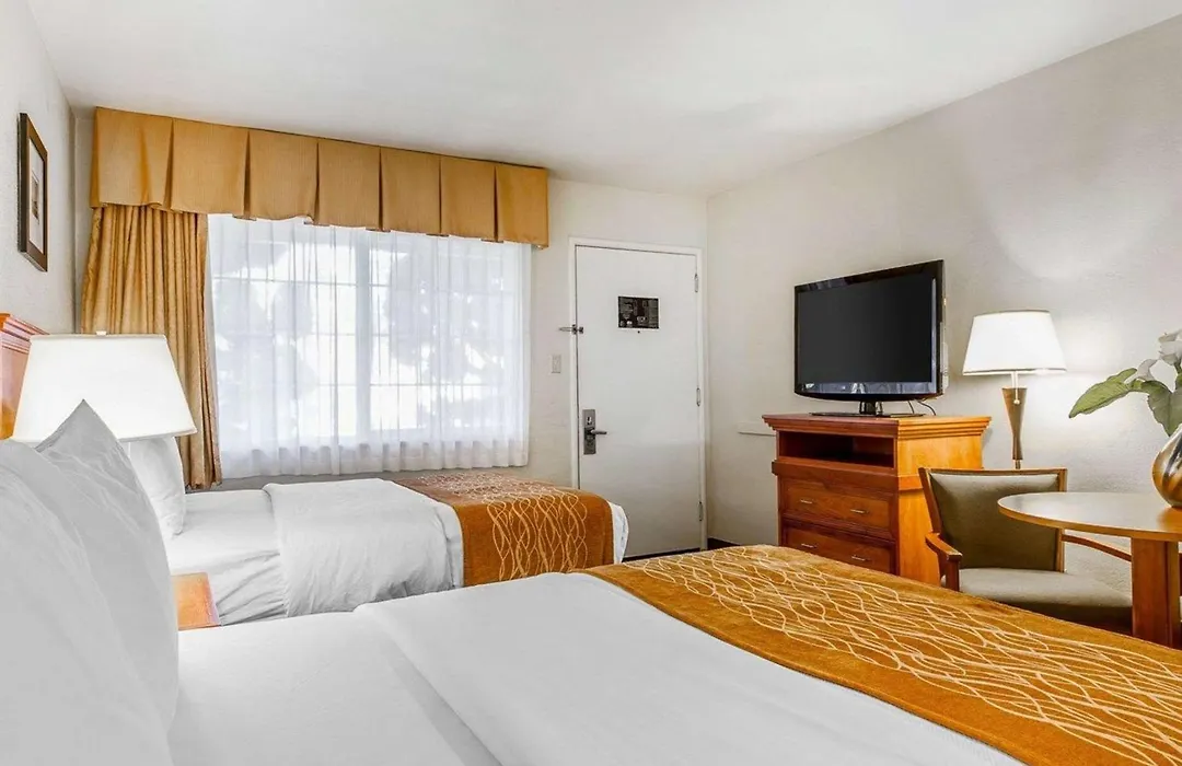 The Inn At 1252 Monterey-1