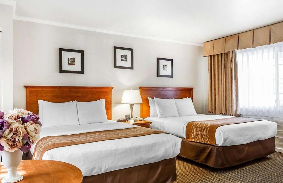 The Inn At 1252 Monterey-1
