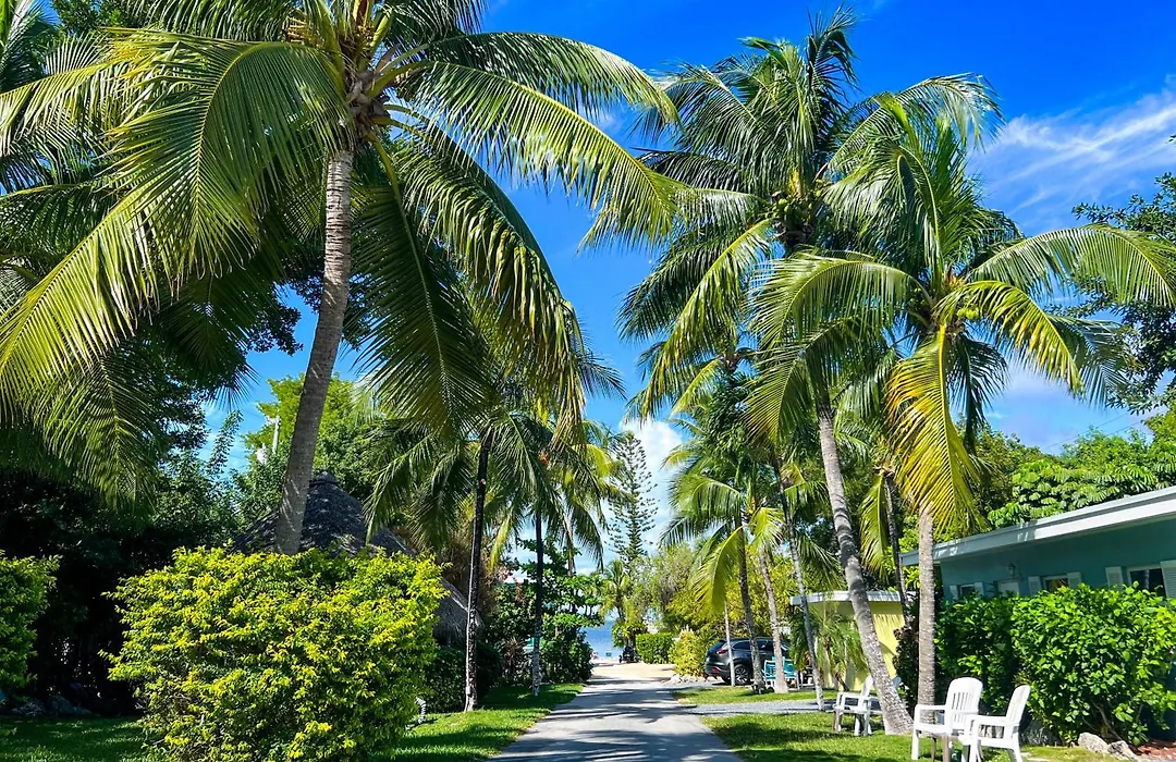 Sunset Cove Beach Resort-1