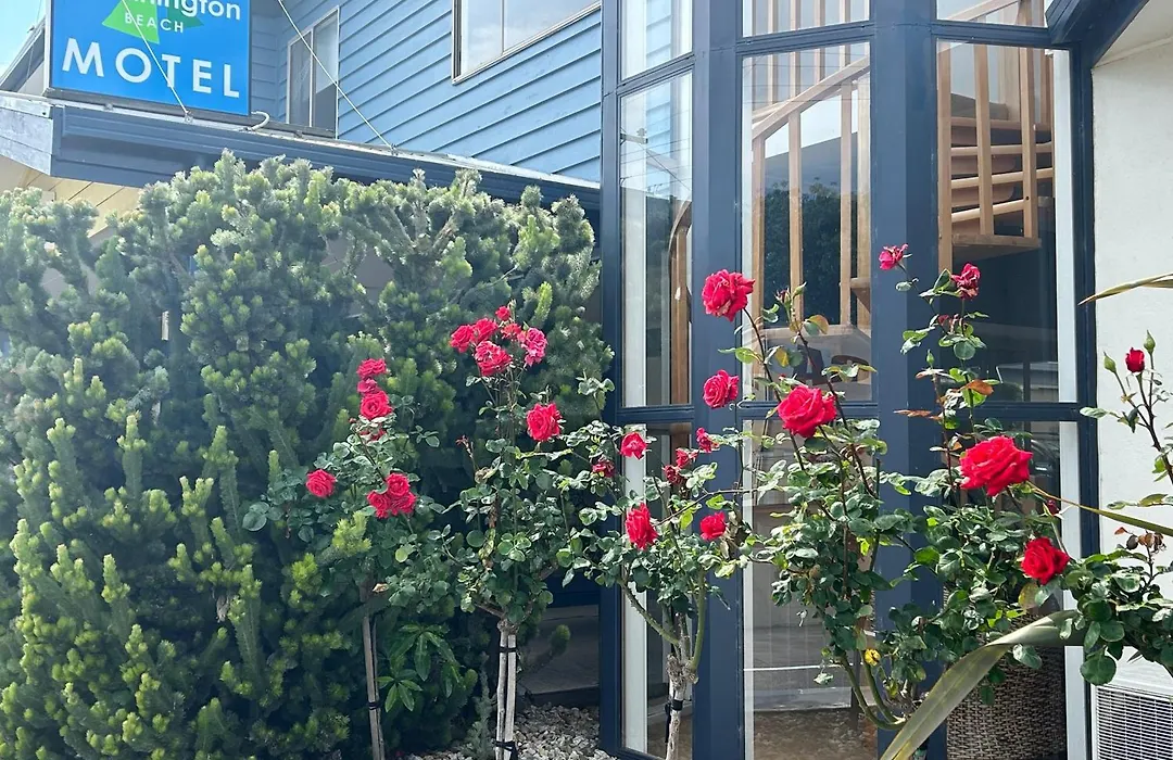 Portarlington Beach Motel-1