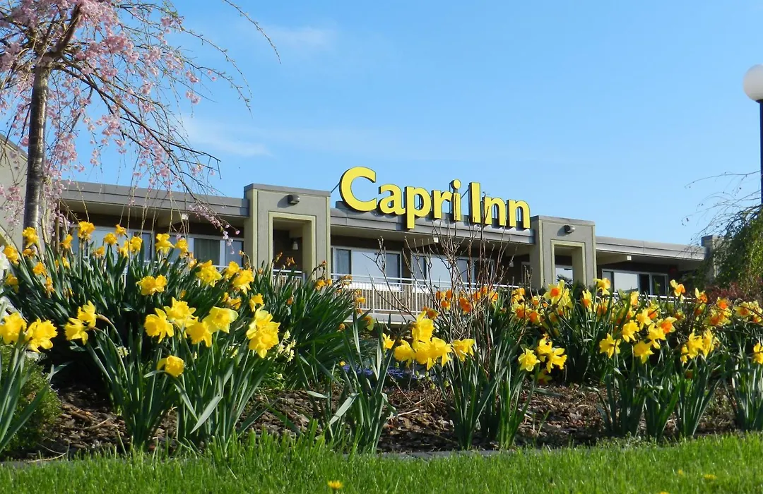 Capri Inn-1