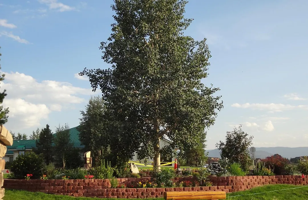 Littletree Inn-1