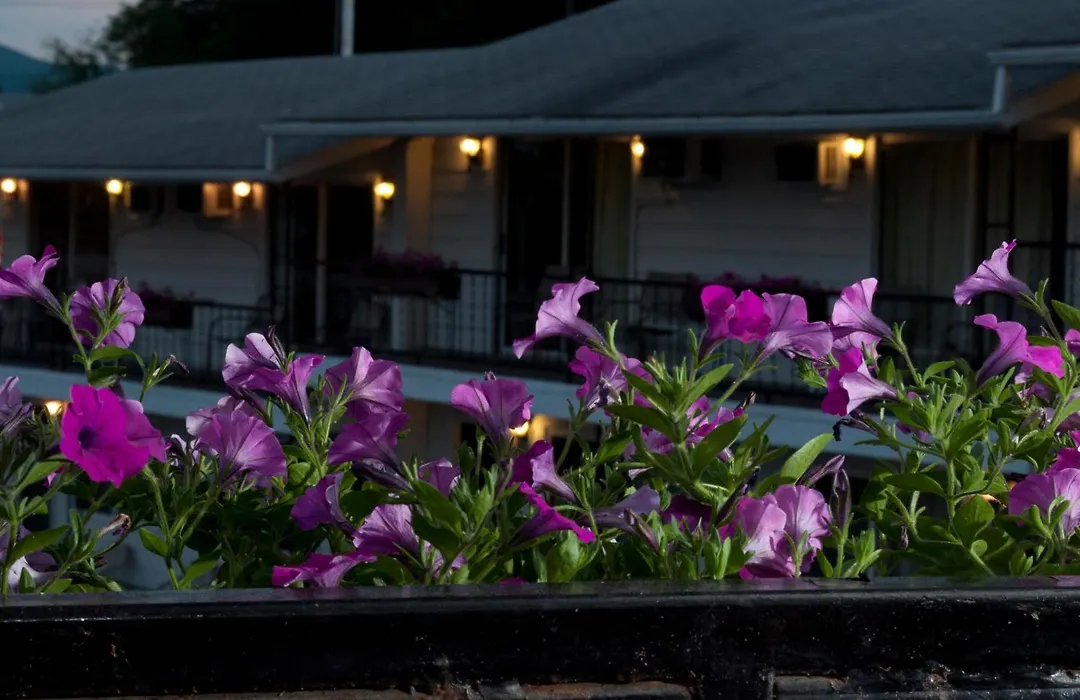 The Lake George Inn-1
