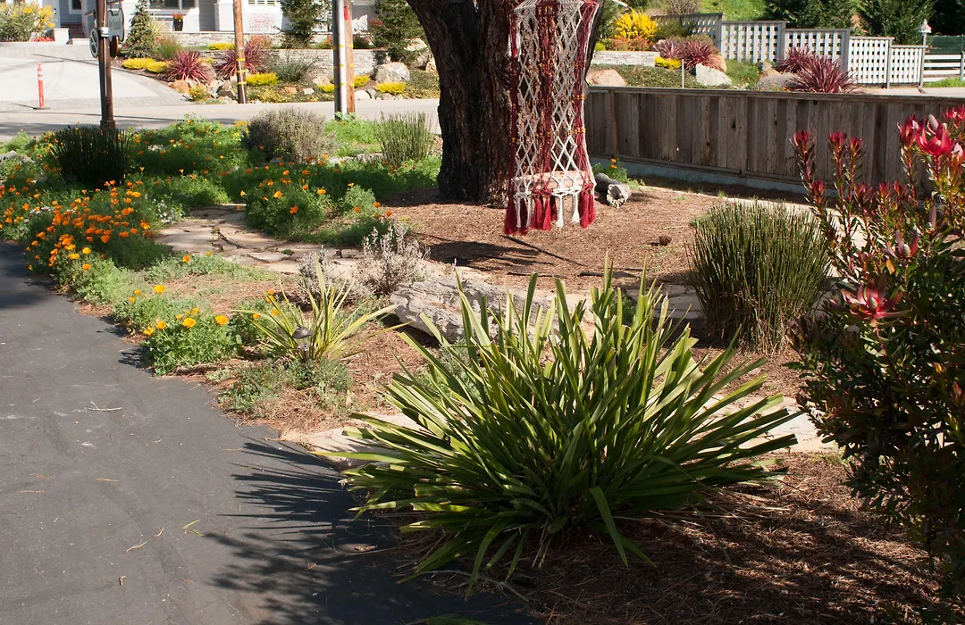 Cambria Palms Motel-1