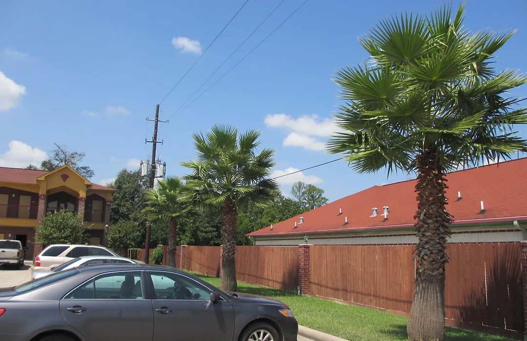 Winchester Inn And Suites Humble/Iah/North Houston-1
