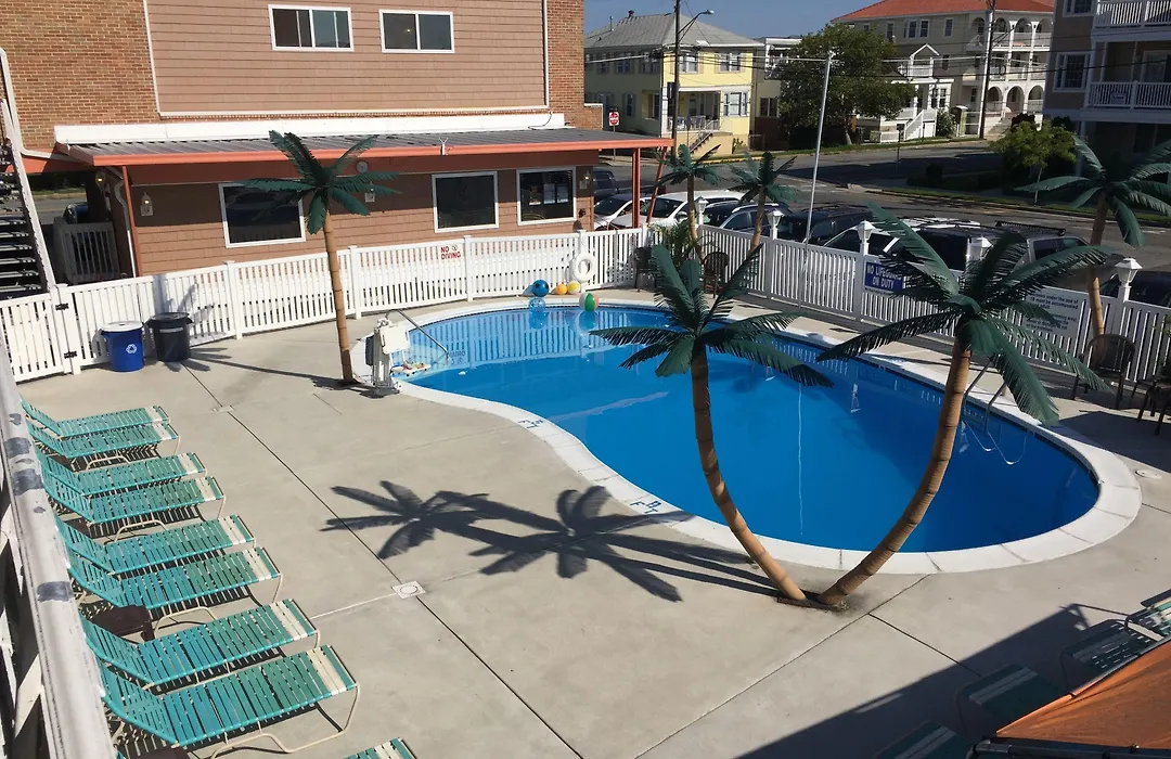 Dolphin Inn-1