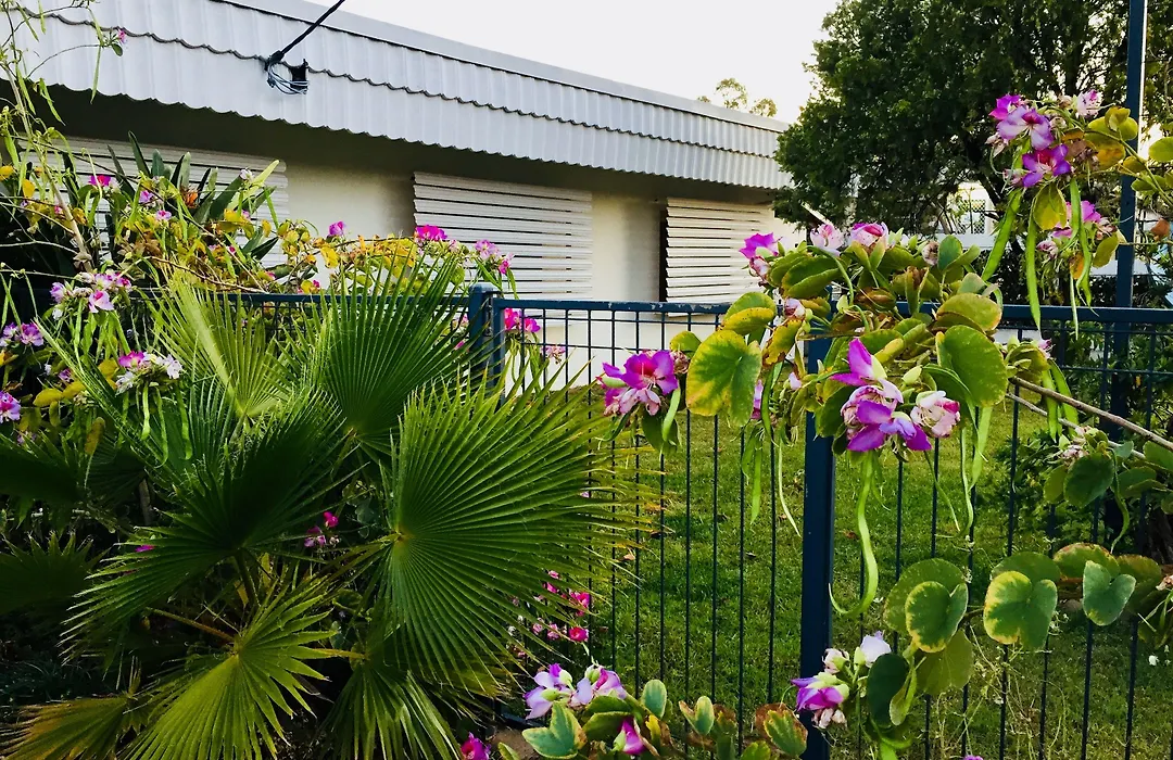 Balonne River Motor Inn-1