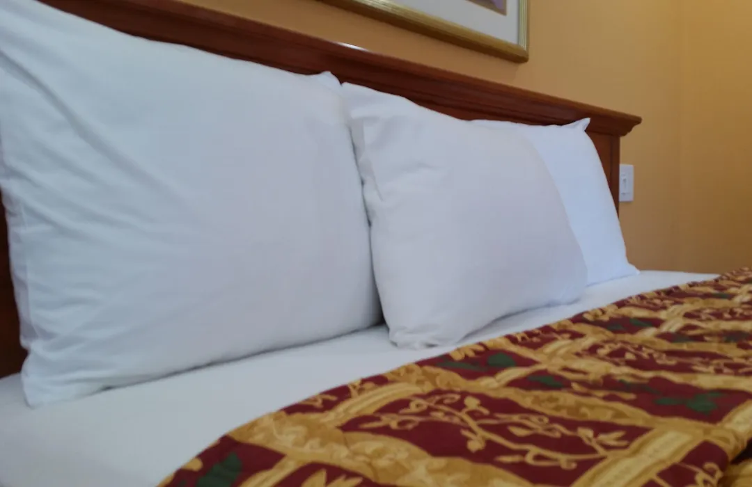 Kona Inn Motel Anaheim-1