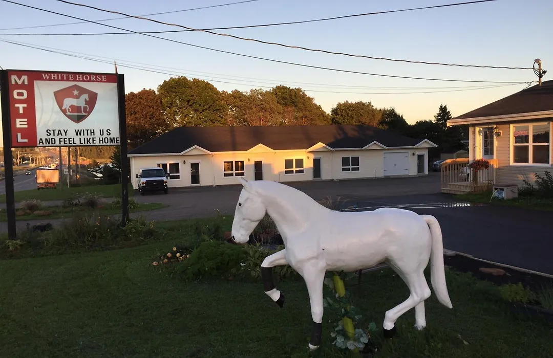 The White Horse Motel-1