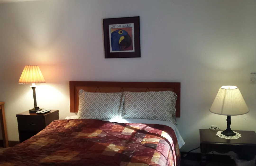 Shiny Motel-1