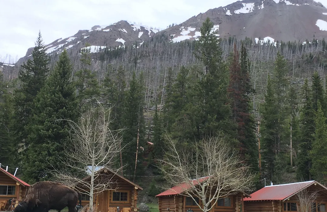 Silver Gate Lodging-1