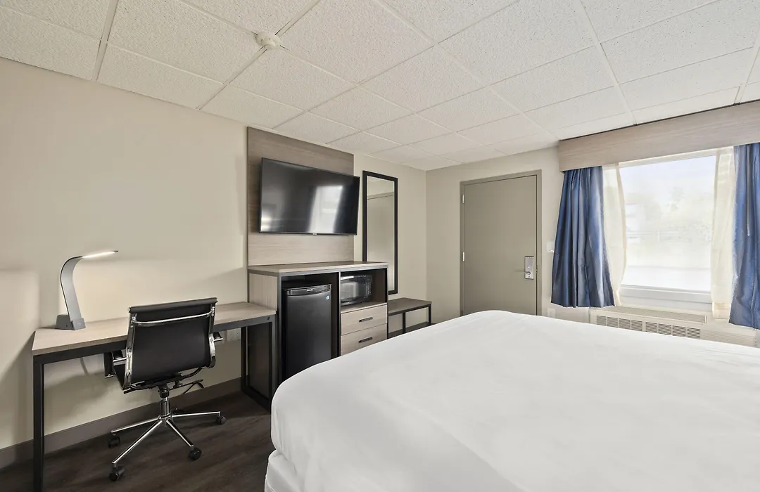 The Elmwood-1