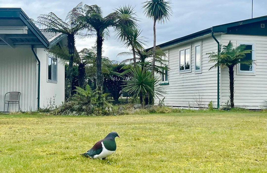 Glacier View Motel-1