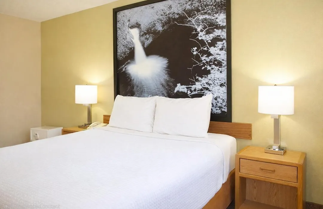 Super 8 By Wyndham Antigo-1