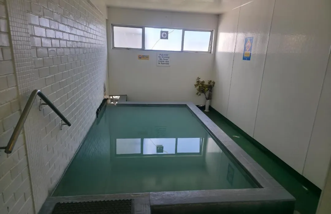 Kuirau Park Motor Lodge- Thermal Mineral Pool-1