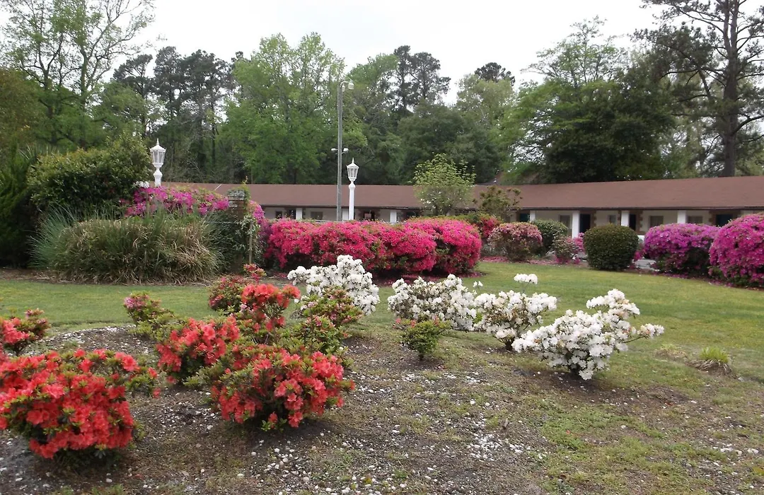 Azalea Inn & Suites-1