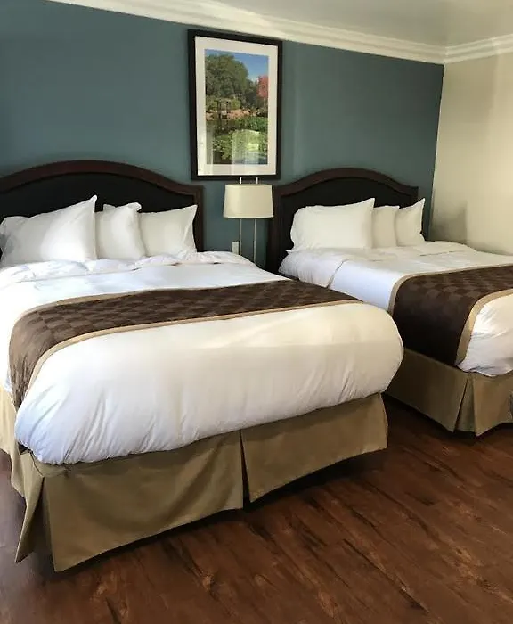Rex Motel-1